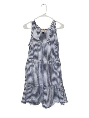 Universal Thread Blue and White Vertical Stripe Tank Dress